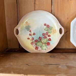 Vintage antique Rosenthal Bavaria hand painted plate